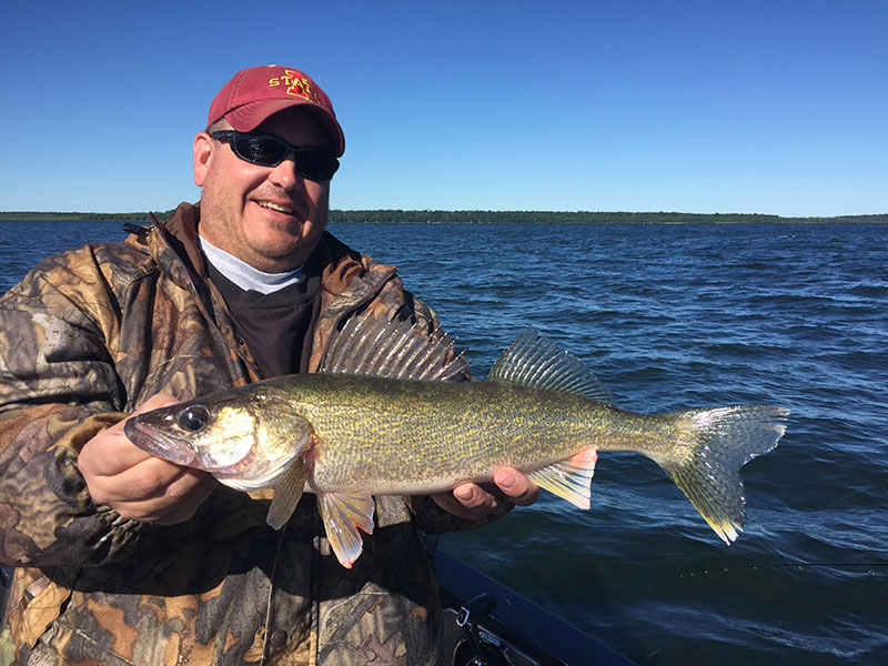 A nice walleye caught on Lake Winnibigoshish Minnesota