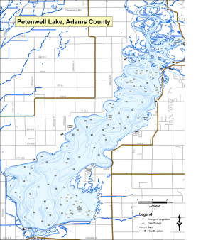 Petenwell Lake Topographical Lake Map